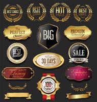 Luxe premium gouden insignes en labels vector