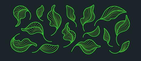 thee bladeren, kunst set. grafisch lijn, groen gebladerte vector