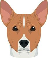 basenji hond geïsoleerd Aan wit achtergrond vector illustratie