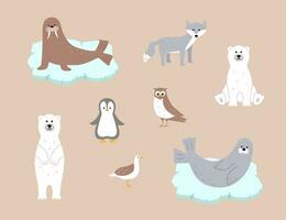 schattig arctisch dieren. vector illustratie met grappig polair dieren. polair beer walrus zegel zeemeeuw schrijver uil.