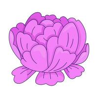 roze pioen bloem 2d lineair tekenfilm voorwerp. single bloem zomer bloesem geïsoleerd lijn vector element wit achtergrond. vroeg voorjaar tuin bloeiend bloemen nostalgie kleur vlak plek illustratie