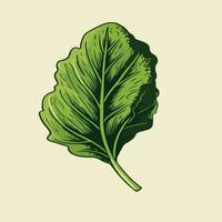 single rucola blad in gravure vector