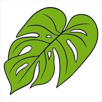 tropische planten exotisch gesneden groen blad in cartoon-stijl vector