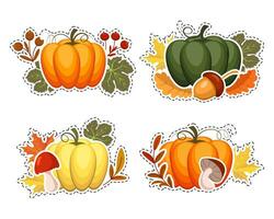reeks van herfst stickers, pompoenen, eikels, champignons en herfst bladeren en lijsterbes. illustratie, pictogrammen, sjabloon, vector