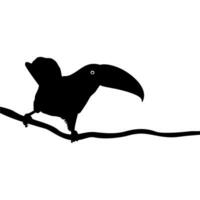 toekans zijn neotropisch leden van de in de buurt passerine vogel familie ramphastidae. de ramphastidae zijn meest nauw verwant naar de Amerikaans baardvogels, vogel silhouet. vector illustratie