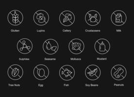 allergeen pictogrammen. voedsel allergie waarschuwing en dieet beperking symbolen. vector