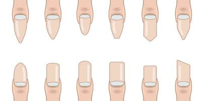 vector vormen van verschillend mode nagels, vingernagels ontwerp bespotten omhoog Sjablonen