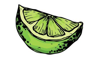 vector limoen clip art. hand- getrokken citrus icoon. fruit illustratie. voor afdrukken, web, ontwerp, decor