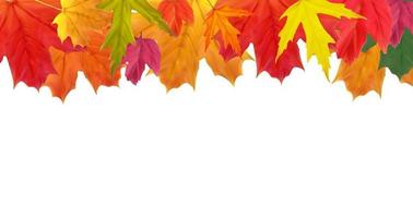 glanzende herfst natuurlijke bladeren achtergrond. vector illustratie