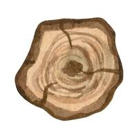 rustiek hout plakjes clip art. hand- getrokken waterverf clip art voor bruiloft uitnodigingen vector