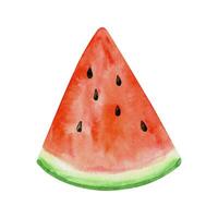 waterverf watermeloen clip art, zomer rijp fruit, watermeloen partij vector