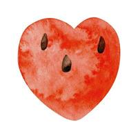 waterverf watermeloen hart vorm clip art, zomer rijp fruit. watermeloen partij vector