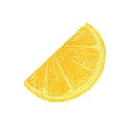 citroen fruit plak waterverf clip art. illustratie van vers citroen vector