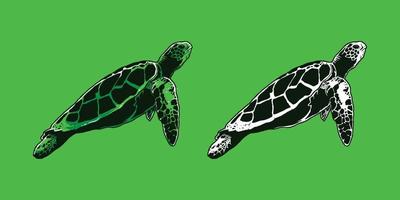 handgetekende groene schildpad vectorillustratie