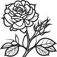 roos bloem clip art zwart wit afbeeldingen. hand- getrokken rozen. schetsen roos bloemen met bladeren vector