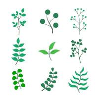blad planten verzameling. vector illustratie