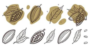 cacao set. handgetekende vector cacaobonen, bladeren. doodle schets stijl
