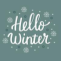 Hallo winter belettering inscriptie. hand- getrokken Hallo winter tekst plein spandoek. hand- getrokken vector kunst.