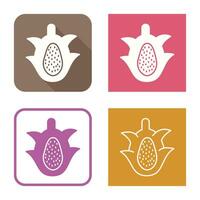 draak fruit vector icoon