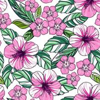 naadloos patroon met roze hibiscus bloemen en bladeren vector