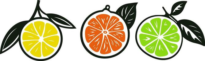 citrus vector grafiek hoog kwaliteit elementen voor professioneel artwork