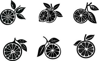 citrus vector patronen grillig ontwerpen voor textiel en afdrukken toepassingen