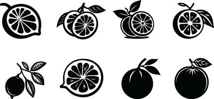 levendig citrus fruit illustraties vers en sappig vector grafiek