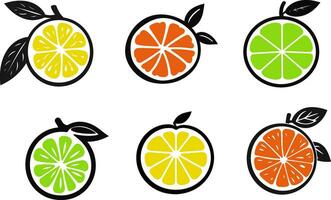 citrus fruit verzameling verscheidenheid van vers en pittig vector illustraties