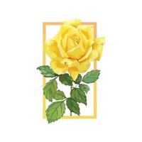 een frame van gele roos aquarel vector