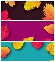 reeks van drie achtergronden met herfst bladeren en plaats voor uw tekst. banier ontwerp voor vallen seizoen banier of poster. vector illustratie