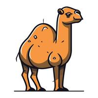 kameel vector illustratie. schattig kameel geïsoleerd Aan wit achtergrond.
