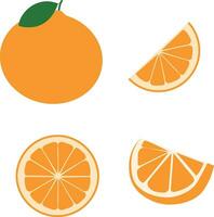 vers oranje fruit, vlak vector illustraties