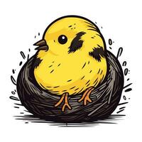 schattig weinig kuiken in nest. hand- getrokken vector illustratie geïsoleerd Aan wit achtergrond.