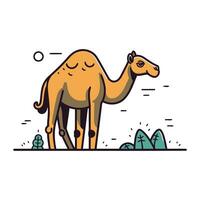 kameel vlak lijn vector illustratie. schattig tekenfilm kameel staand in woestijn.