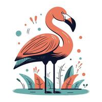 flamingo vector illustratie. hand- getrokken flamingo in tekenfilm stijl.