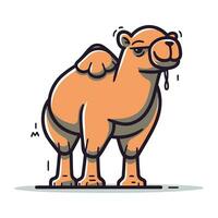 kameel vector illustratie in tekenfilm stijl. vector illustratie van kameel.