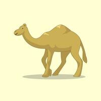 illustratie van bruin woestijn kameel vector