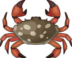 gevlekte krab tekenfilm vector illustratie, gevlekte krab met rood poten en chelipedo's gekleurde en zwart en wit lijn kunst voorraad vector beeld