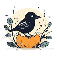 schattig zwart vogel Aan pompoen. vector illustratie in vlak stijl.