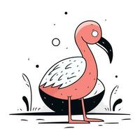 flamingo. hand- getrokken vector illustratie in tekenfilm grappig stijl.