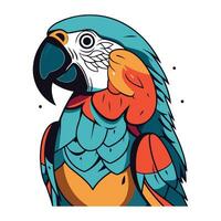 papegaai geïsoleerd Aan wit achtergrond. hand- getrokken vector illustratie in tekenfilm stijl.
