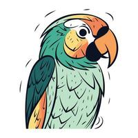 schattig papegaai tekenfilm vector illustratie geïsoleerd Aan wit achtergrond. hand- getrokken papegaai icoon