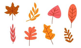 herfst bladeren logo vector beeld