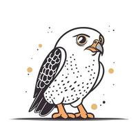 vector illustratie van een schattig slechtvalk vogel Aan wit achtergrond.