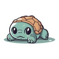 schattig tekenfilm schildpad geïsoleerd Aan een wit achtergrond. vector illustratie.