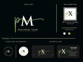 elegant p.m handtekening kleding logo, modern luxe p.m logo brief met branding vector