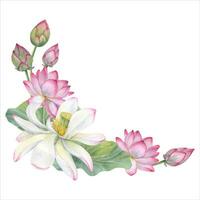 kader van bloeiend lotus bloemen, knoppen, bladeren. wit en roze water lelies, Indisch lotus, groen blad, knop. ruimte voor tekst. waterverf illustratie voor hartelijk groeten, pakket, label, uitnodiging vector