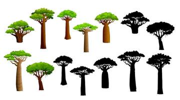 Afrikaanse baobab bomen en silhouetten, geïsoleerd reeks vector