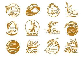 rijst- pictogrammen met ontbijtgranen planten en rijstveld granen vector