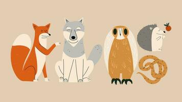 reeks van wild dieren. vos, wolf, uil, slang, egel. hand- trek illustratie vector